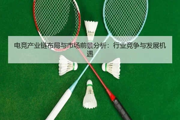 电竞产业链布局与市场前景分析：行业竞争与发展机遇
