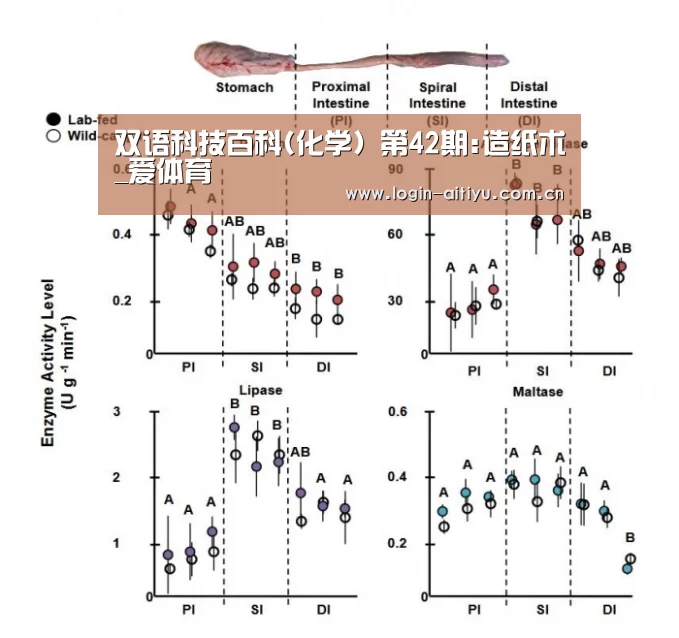 爱体育
